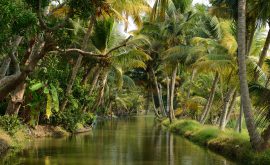 Reisen in allen Facetten erleben...