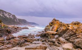 Tsitsikamma Nationalpark / Garden Route