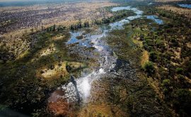 Okavango Delta