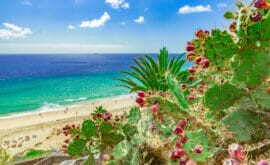 Strand von Esquinzo, Fuerteventura, kanarische Inseln, Spanien