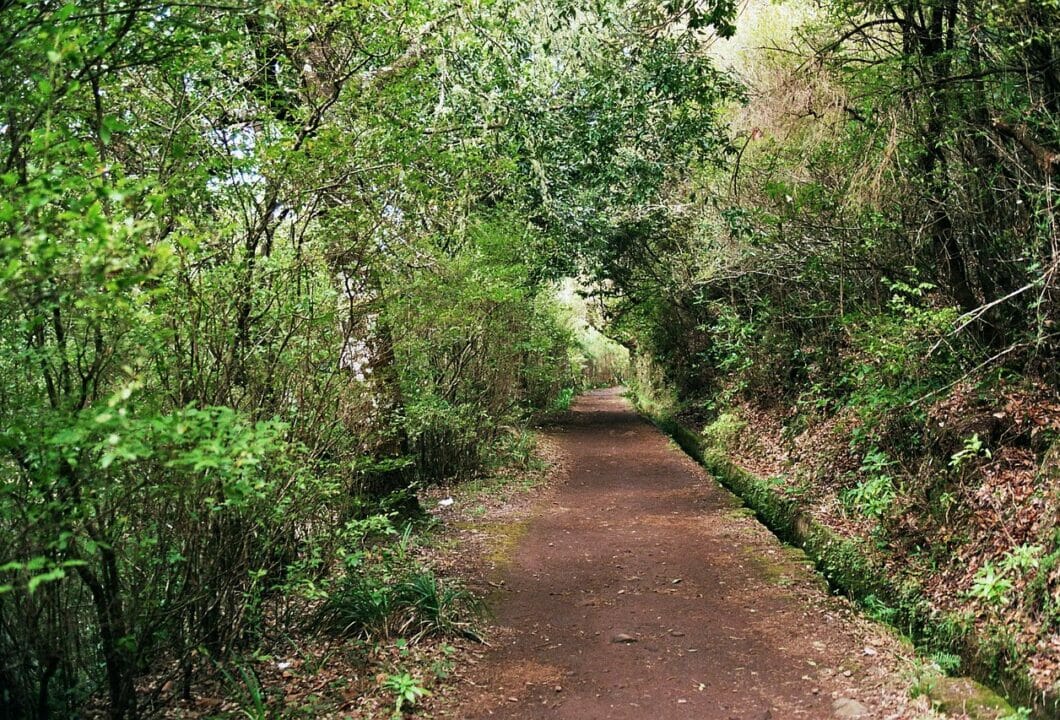 Levada Wanderung auf Madeira